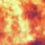 Witness21  2020 04 26