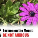 Be Not Anxious – Bible Study Without Borders: Ep. 6 (Matt. 6:25-34) - Documentaries, Movies & TV - Appian Media