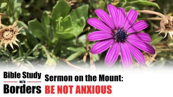 Be Not Anxious – Bible Study Without Borders: Ep. 6 (Matt. 6:25-34) - Documentaries, Movies & TV - Appian Media