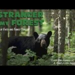 Witness21 Editor  2020 04 29