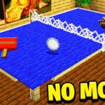 5 Things You Didn't Know You Could Build in Minecraft! (NO MODS!) - Gameplay, Kingdom Kids Zone, Minecraft - EYstreem
