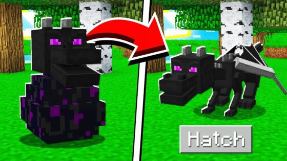 How to HATCH the ENDER DRAGON EGG in Minecraft Tutorial! - Gameplay, Kingdom Kids Zone, Minecraft - EYstreem
