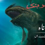 Witness21 Editor  2020 04 26