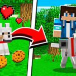 How to UPGRADE WOLVES in Minecraft Tutorial! (Pocket Edition, PS4, Xbox, PC, Switch) - Gameplay, Kingdom Kids Zone, Minecraft - EYstreem