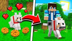 How to UPGRADE WOLVES in Minecraft Tutorial! (Pocket Edition, PS4, Xbox, PC, Switch) - Gameplay, Kingdom Kids Zone, Minecraft - EYstreem