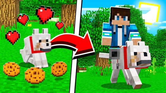 How to UPGRADE WOLVES in Minecraft Tutorial! (Pocket Edition, PS4, Xbox, PC, Switch) - Gameplay, Kingdom Kids Zone, Minecraft - EYstreem