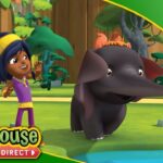 Ranger Rob | ALL Animal Facts PART 2! - Kids TV Series, Kingdom Kids Zone - Treehouse Direct