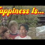 Witness21 Editor  2020 04 29