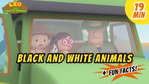 Witness21 Editor  2020 05 07