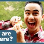 Witness21  2020 05 22