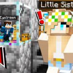 I Built a TINY SECRET BASE In My LITTLE SISTER'S HOUSE in Minecraft! - Gameplay, Kingdom Kids Zone, Minecraft - EYstreem