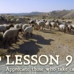 Appreciate Those who Take Care of You: Sheep and their Shepherd - Documentaries, Movies & TV - Appian Media