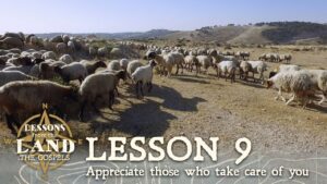 Appreciate Those who Take Care of You: Sheep and their Shepherd - Documentaries, Movies & TV - Appian Media