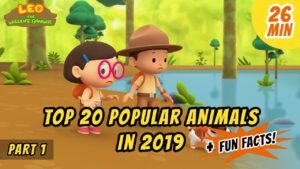 Witness21 Editor  2020 05 08