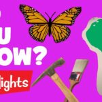 Did you know? #1 | 2020 | Laugh and Learn | Highlights Kids - Kingdom Kids Zone, Little Learners - Highlights Kids