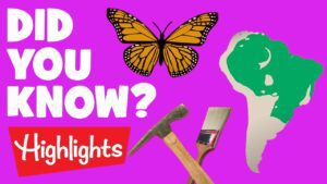 Did you know? #1 | 2020 | Laugh and Learn | Highlights Kids - Kingdom Kids Zone, Little Learners - Highlights Kids