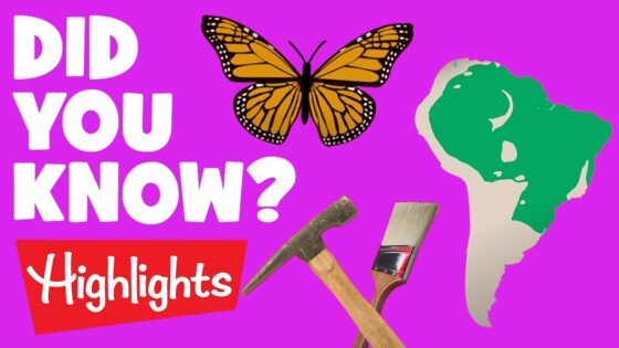 Did you know? #1 | 2020 | Laugh and Learn | Highlights Kids - Kingdom Kids Zone, Little Learners - Highlights Kids