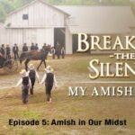 Witness21 Editor  2020 05 01