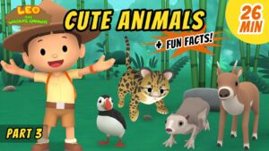 Witness21 Editor  2020 06 25