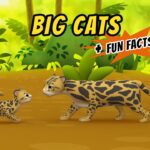 Witness21 Editor  2020 06 13