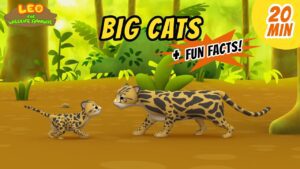 Witness21 Editor  2020 06 13