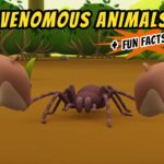 Witness21 Editor  2020 06 27