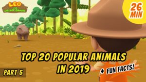 Witness21 Editor  2020 06 04