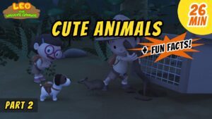 Witness21 Editor  2020 06 19