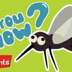 Did you know? #5 | 2020 | Laugh and Learn | Kids Videos | Highlights Kids - Kingdom Kids Zone, Little Learners - Highlights Kids