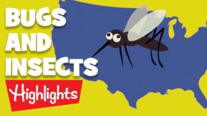 Bugs and Insects | 2020 | Compilation | Highlights Kids - Kingdom Kids Zone, Little Learners - Highlights Kids