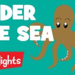 Sea Creatures | 2020 | Compilation | Highlights Kids - Kingdom Kids Zone, Little Learners - Highlights Kids