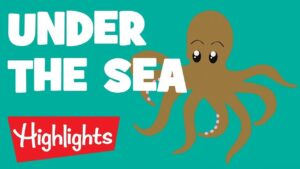Sea Creatures | 2020 | Compilation | Highlights Kids - Kingdom Kids Zone, Little Learners - Highlights Kids