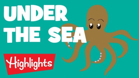 Sea Creatures | 2020 | Compilation | Highlights Kids - Kingdom Kids Zone, Little Learners - Highlights Kids