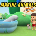 Witness21 Editor  2020 07 17