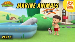 Witness21 Editor  2020 07 17