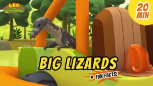 Witness21 Editor  2020 07 24