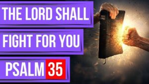Psalm 35 Prayer for protection: Bible verses for sleep with God's Word (Powerful Psalms for sleep) - Hope & Healing, Meditations - Peaceful Scriptures Official