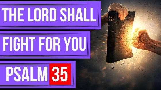 Psalm 35 Prayer for protection: Bible verses for sleep with God's Word (Powerful Psalms for sleep) - Hope & Healing, Meditations - Peaceful Scriptures Official