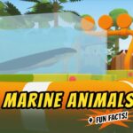 Witness21 Editor  2020 07 23