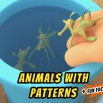 Witness21 Editor  2020 07 16