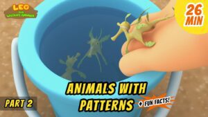 Witness21 Editor  2020 07 16