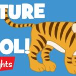 NATURE | Laugh, Learn and Play | 2020 Compilation | Highlights Kids - Kingdom Kids Zone, Little Learners - Highlights Kids