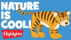 NATURE | Laugh, Learn and Play | 2020 Compilation | Highlights Kids - Kingdom Kids Zone, Little Learners - Highlights Kids