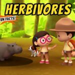 Witness21 Editor  2020 08 14