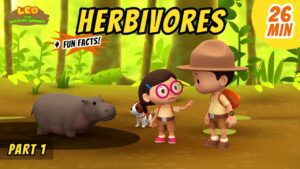 Witness21 Editor  2020 08 14