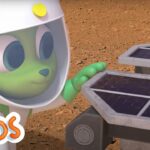 Looking for life | MarcoPolo World School | Learn At Home - Kingdom Kids Zone, Little Learners - The Polos and MarcoPolo Learning