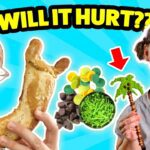 Witness21  2020 08 21