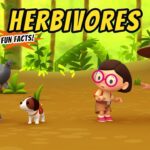 Witness21 Editor  2020 08 21