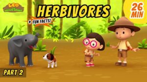 Witness21 Editor  2020 08 21