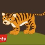 Zoo Animals | Learning for Kids | Highlights Kids - Kingdom Kids Zone, Little Learners - Highlights Kids